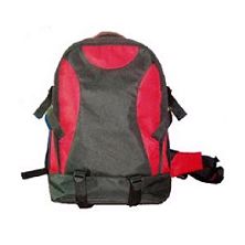 sport  Backpack